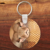 Porte-clés Saumon Boa Porte - clé (Recto)