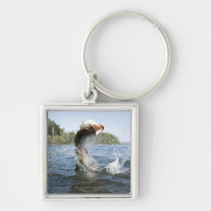 Porte-clés Sauter de Pike du nord de l'eau dans un lac