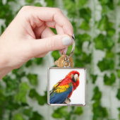 Porte-clés Scarlet Macaw Key Chain (main)
