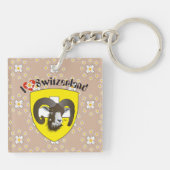 Porte-clés Schaffhouse - Suisse - Suisse - Svizzera (Dos)