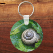Porte-clés Schlüsselanhänger hübsche Schnecke (Recto)