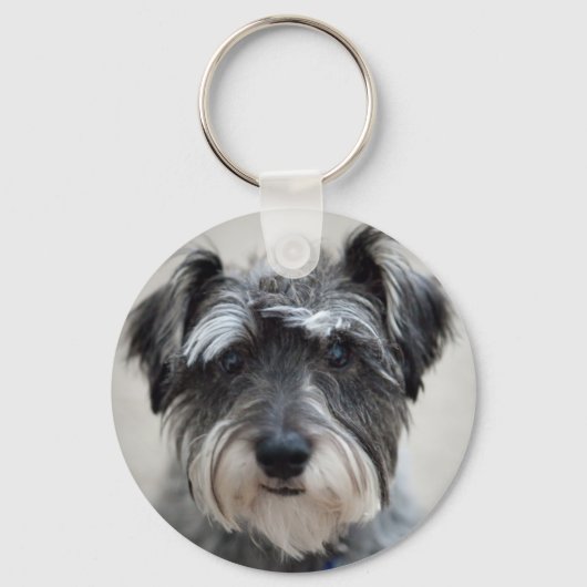 Porte-clés Schnauzer Chien Porte - clé (Recto)