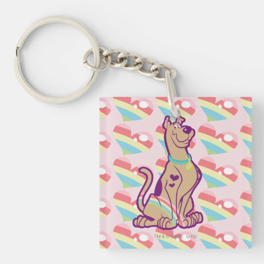 Porte-clés Scooby-Doo arc-en-ciel (Devant)