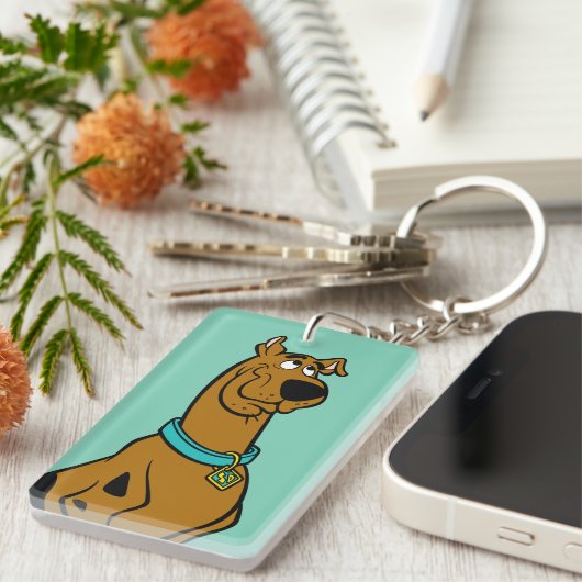 Porte-clés Scooby Doo Chiot Yeux (Devant droit)