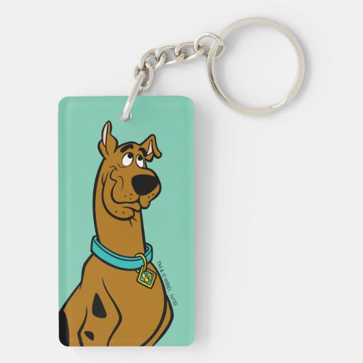 Porte-clés Scooby Doo Chiot Yeux (Dos)
