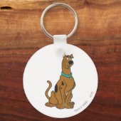 Porte-clés Scooby Doo Chiot Yeux (Recto)