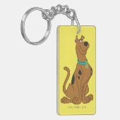 Porte-clés Scooby-Doo Cuter Plus que mignonne (Devant gauche)