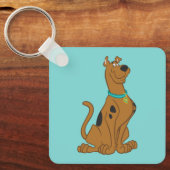 Porte-clés Scooby-Doo Cuter Plus que mignonne (Recto)