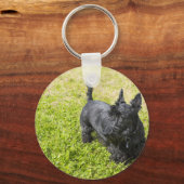 Porte-clés Scottish Terrier (Recto)