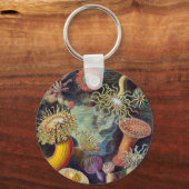 Porte-clés Sea Anemone Scientific Nature Ocean (Recto)