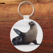 Porte-clés Sealion (Recto)