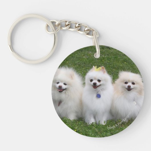 Porte-clés Séance de 3 Pomeranians (Devant)