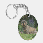 Porte-clés Séance standard à poils durs de teckel (Devant gauche)