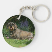 Porte-clés Séance standard à poils durs de teckel (Dos)