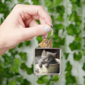 Porte-clés Seau Plein De Joie Sweet Grey Kitten (main)