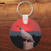 PORTE-CLÉS SENTINEL AT SUNSET (Recto)