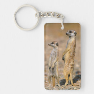 Porte-clés Sentinelles de suricate (Suricata suricatta), Kara