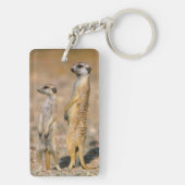 Porte-clés Sentinelles Meerkat (Suricata Suricatta), Karas (Dos)