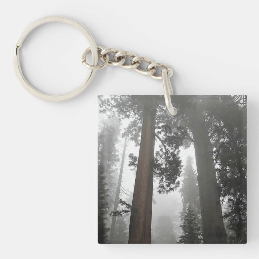 Porte-clés Séquoia géantes dans le brouillard, CA (Devant)