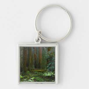 Porte-clés Séquoias de Muir Woods National Monument