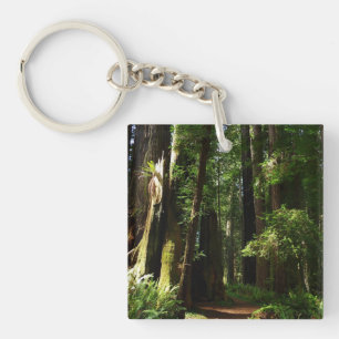Porte-clés Séquoias et fougères au parc national de Redwood