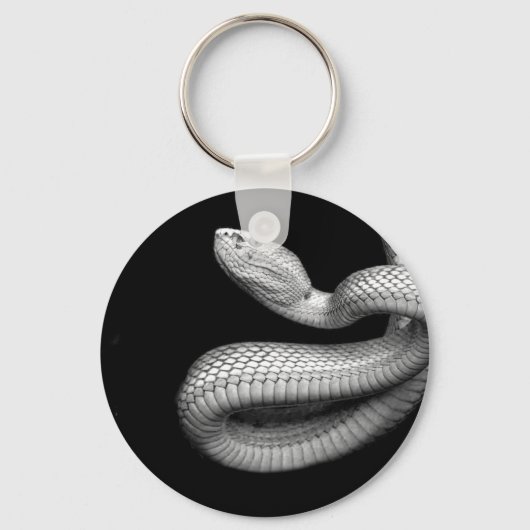 Porte-clés Serpent (Recto)