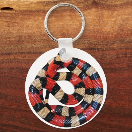 Porte-clés Serpent à lait (Recto)