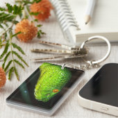 Porte-clés Serpent de vipère de la mine de Stejneger vert (Devant droit)