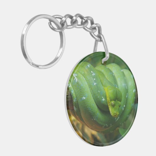 Porte-clés Serpent Python à arbre vert (Devant gauche)