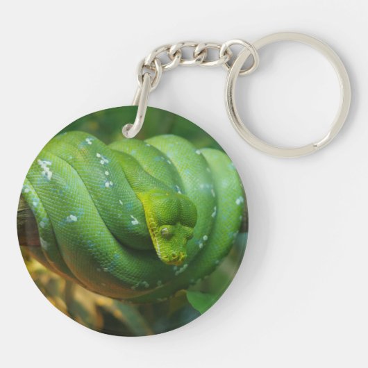 Porte-clés Serpent Python à arbre vert (Dos)