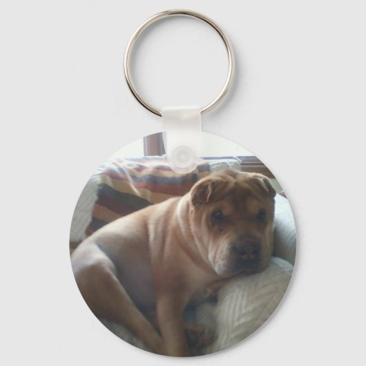 Porte-clés Shar-Pei (Recto)