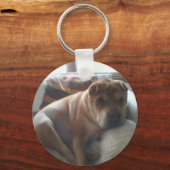 Porte-clés Shar-Pei (Recto)