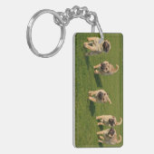 Porte-clés Shar Pei chiots joueurs (Devant gauche)