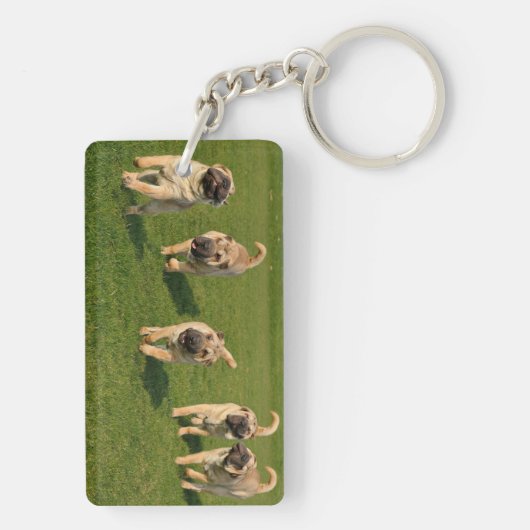 Porte-clés Shar Pei chiots joueurs (Dos)