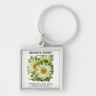 Porte-clés Shasta Daisy Vintage semis