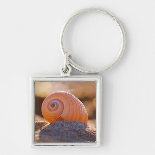 Porte-clés Shell Bokeh |Greece (Devant)