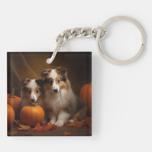 Porte-clés Shetland Sheepdog Chiot Chiot Automne Citrouille d (Dos)