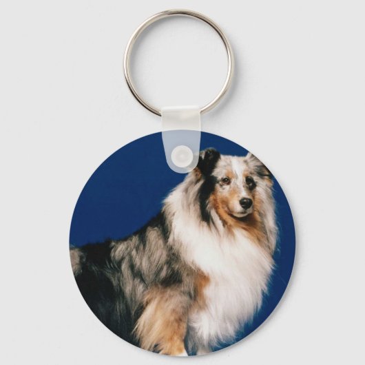 Porte-clés Shetlie (Merle) (Recto)