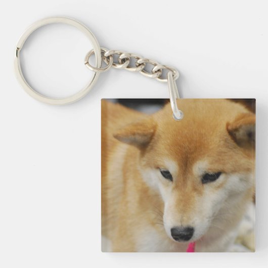 Porte-clés Shiba mignon Inu (Devant)