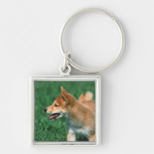 Porte-clés Shiba miniature japonais