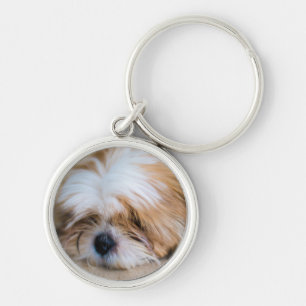 Porte-clés Shih Tzu