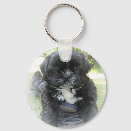 Porte-clés Shih Tzu Porte - clé chiot (Recto)