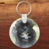 Porte-clés Shih Tzu Porte - clé chiot (Recto)