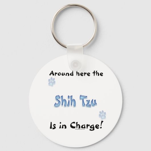 Porte-clés Shih Tzu Porte - clé de charge (Recto)