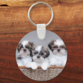 Porte-clés Shih Tzu puppies (Recto)