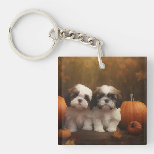 Porte-clés Shih Tzu Puppy Automne Citrouille de plaisir (Devant)