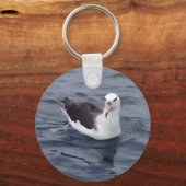Porte-clés Shy Albatross (Recto)