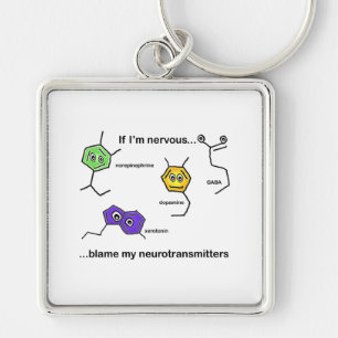 Porte-clés Si je suis Nerveux...