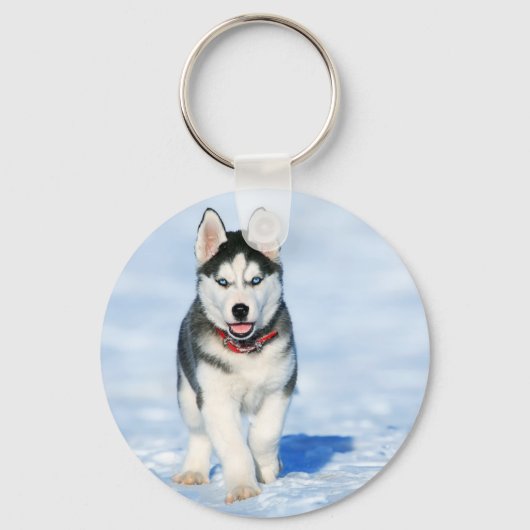 Porte-clés Sibérien Husky (Recto)