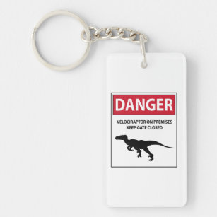 Porte-clés Signal de danger (Raptors)